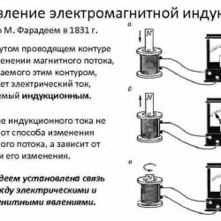 Magnetic induction gizmo answer key