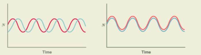 The graphs below depict hypothesized population dynamics