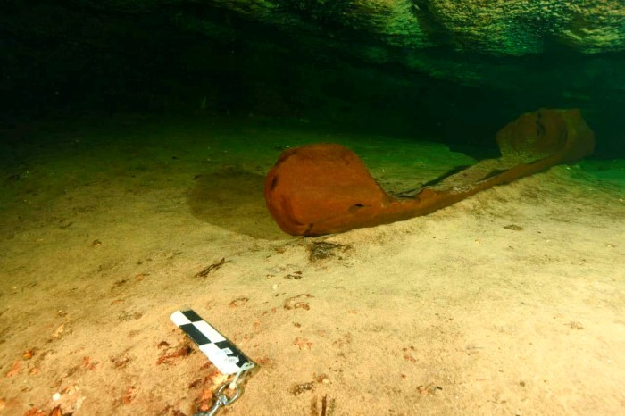 The maya flint depicting a crocodile canoe with passengers 4.4.4