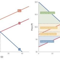 Graph demand supply shows government airline below market tickets decides introduce excise questions bungee jumps